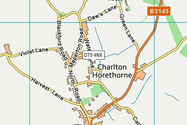 DT9 4NX map - OS VectorMap District (Ordnance Survey)