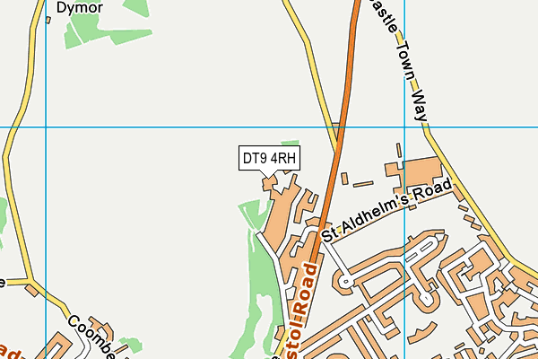 DT9 4RH map - OS VectorMap District (Ordnance Survey)