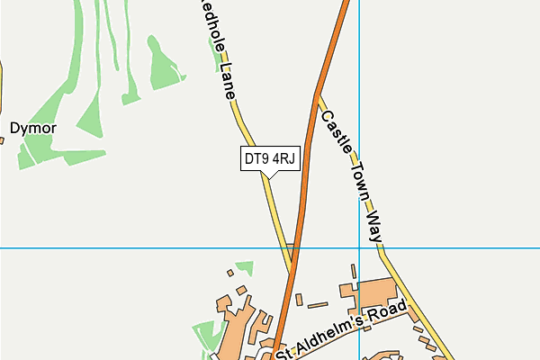 DT9 4RJ map - OS VectorMap District (Ordnance Survey)