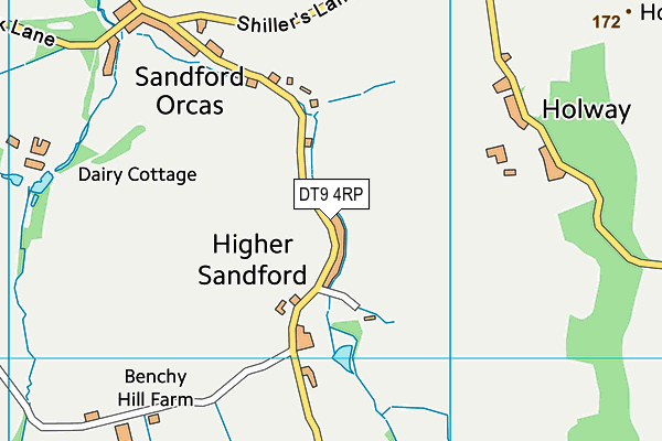 DT9 4RP map - OS VectorMap District (Ordnance Survey)