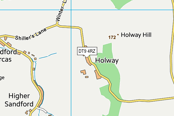 DT9 4RZ map - OS VectorMap District (Ordnance Survey)