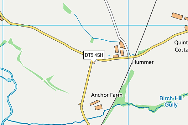 DT9 4SH map - OS VectorMap District (Ordnance Survey)