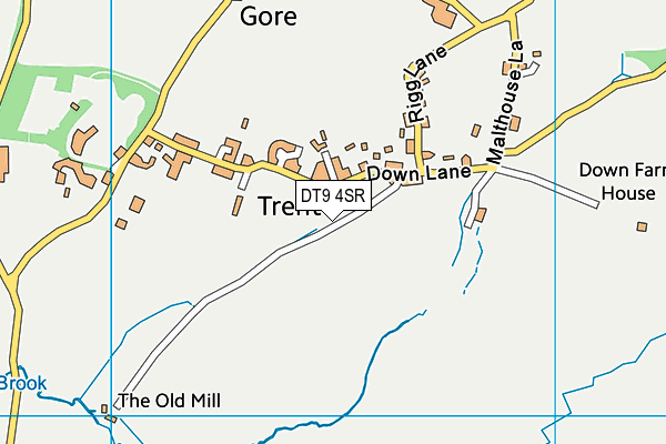 DT9 4SR map - OS VectorMap District (Ordnance Survey)