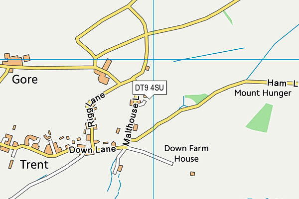 DT9 4SU map - OS VectorMap District (Ordnance Survey)