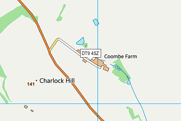 DT9 4SZ map - OS VectorMap District (Ordnance Survey)