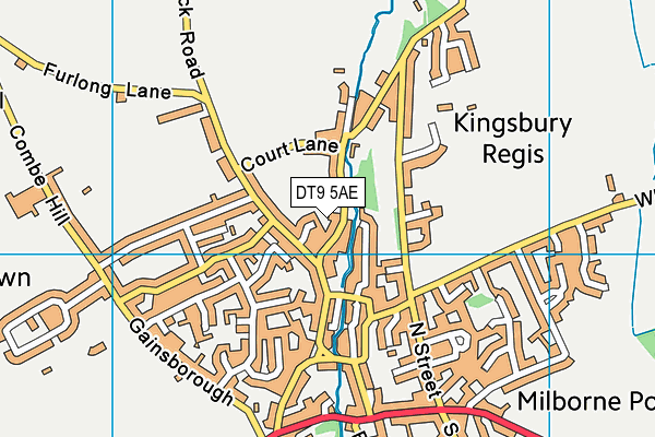 DT9 5AE map - OS VectorMap District (Ordnance Survey)