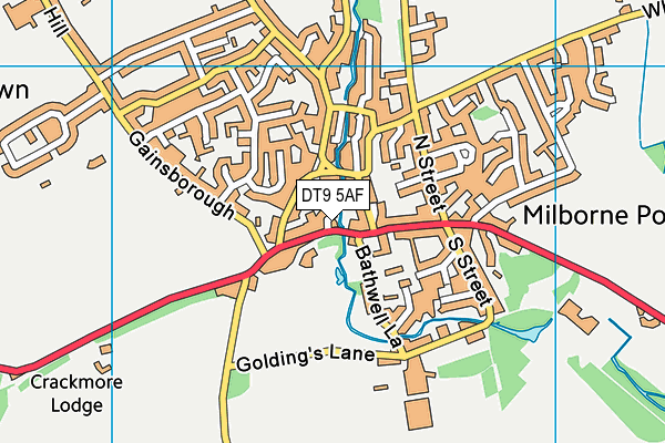 DT9 5AF map - OS VectorMap District (Ordnance Survey)