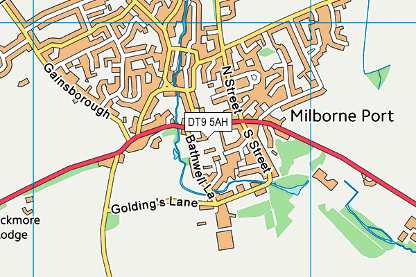 DT9 5AH map - OS VectorMap District (Ordnance Survey)