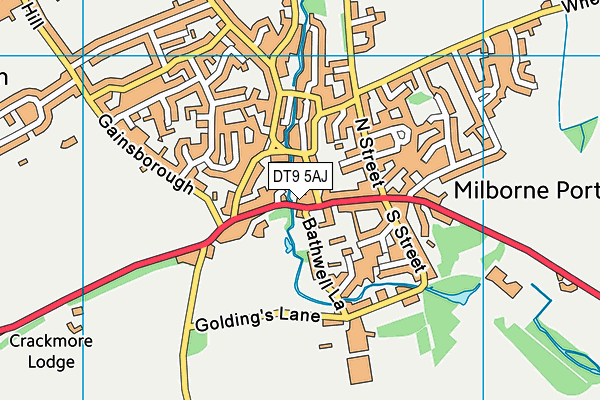 DT9 5AJ map - OS VectorMap District (Ordnance Survey)