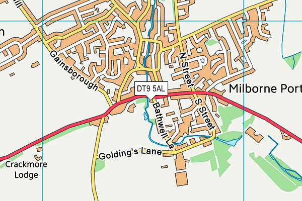 DT9 5AL map - OS VectorMap District (Ordnance Survey)