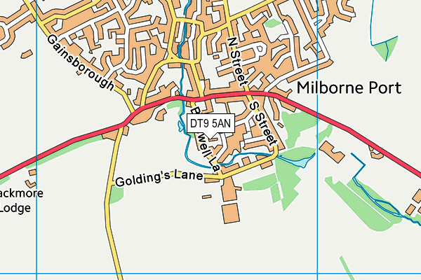 DT9 5AN map - OS VectorMap District (Ordnance Survey)