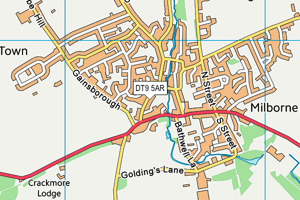 DT9 5AR map - OS VectorMap District (Ordnance Survey)