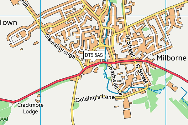 DT9 5AS map - OS VectorMap District (Ordnance Survey)