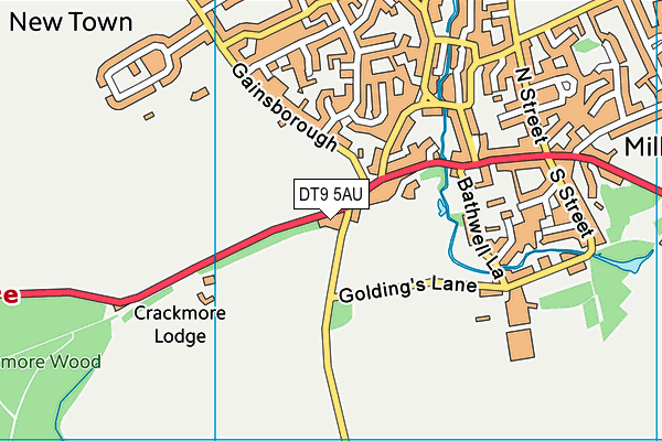 DT9 5AU map - OS VectorMap District (Ordnance Survey)