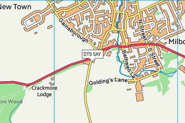 DT9 5AY map - OS VectorMap District (Ordnance Survey)