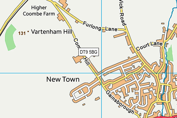 DT9 5BG map - OS VectorMap District (Ordnance Survey)