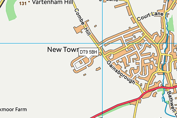 DT9 5BH map - OS VectorMap District (Ordnance Survey)