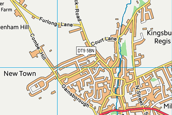 DT9 5BN map - OS VectorMap District (Ordnance Survey)