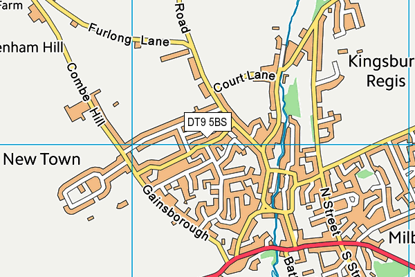 DT9 5BS map - OS VectorMap District (Ordnance Survey)