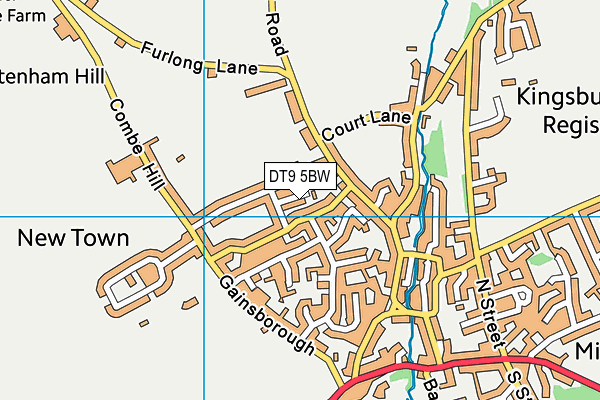 DT9 5BW map - OS VectorMap District (Ordnance Survey)