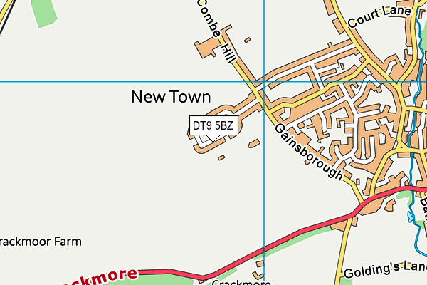 DT9 5BZ map - OS VectorMap District (Ordnance Survey)