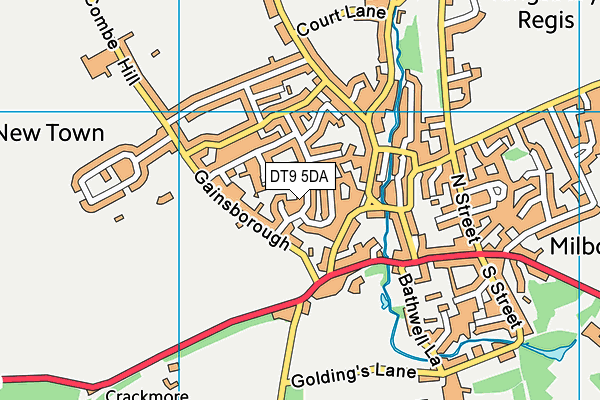 DT9 5DA map - OS VectorMap District (Ordnance Survey)