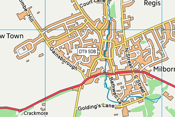 DT9 5DB map - OS VectorMap District (Ordnance Survey)