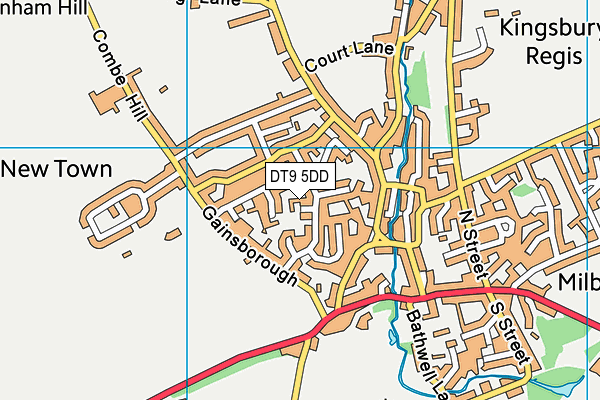 DT9 5DD map - OS VectorMap District (Ordnance Survey)