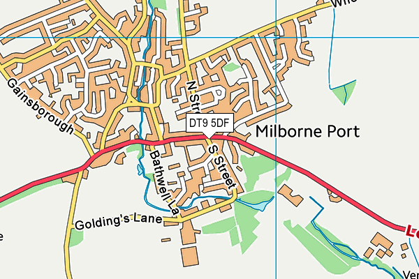 DT9 5DF map - OS VectorMap District (Ordnance Survey)