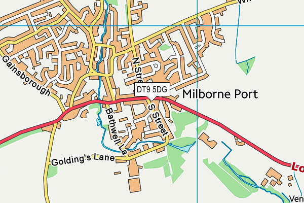 DT9 5DG map - OS VectorMap District (Ordnance Survey)