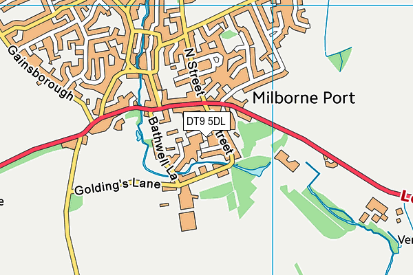 DT9 5DL map - OS VectorMap District (Ordnance Survey)