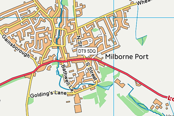 DT9 5DQ map - OS VectorMap District (Ordnance Survey)