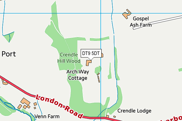 DT9 5DT map - OS VectorMap District (Ordnance Survey)