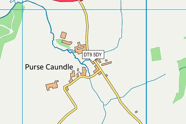 DT9 5DY map - OS VectorMap District (Ordnance Survey)