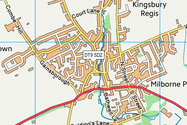 DT9 5DZ map - OS VectorMap District (Ordnance Survey)