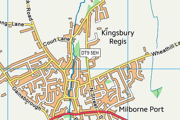 DT9 5EH map - OS VectorMap District (Ordnance Survey)