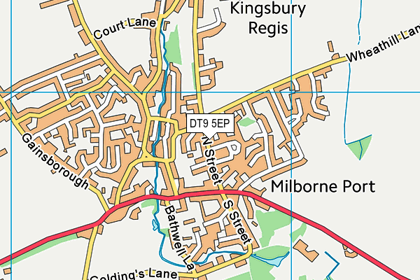 Milborne Port Primary School map (DT9 5EP) - OS VectorMap District (Ordnance Survey)