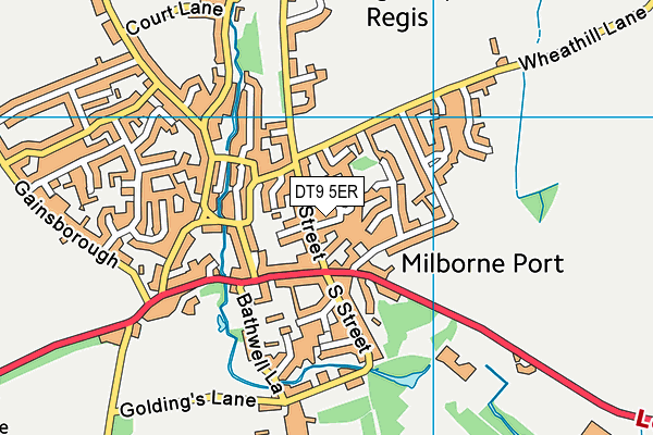 DT9 5ER map - OS VectorMap District (Ordnance Survey)