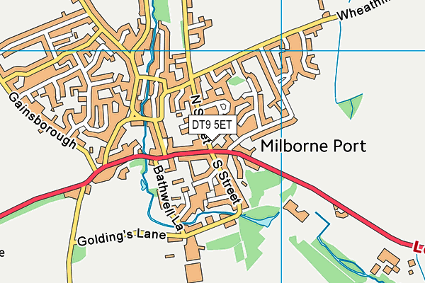 DT9 5ET map - OS VectorMap District (Ordnance Survey)