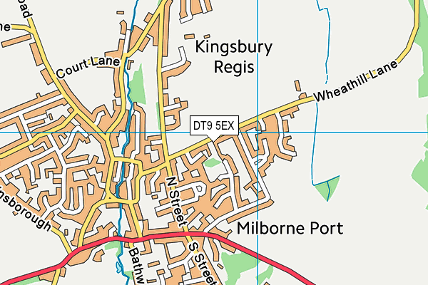 DT9 5EX map - OS VectorMap District (Ordnance Survey)