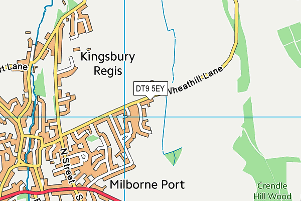 DT9 5EY map - OS VectorMap District (Ordnance Survey)