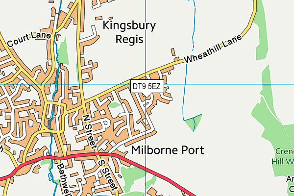 DT9 5EZ map - OS VectorMap District (Ordnance Survey)