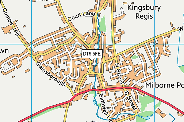 DT9 5FE map - OS VectorMap District (Ordnance Survey)