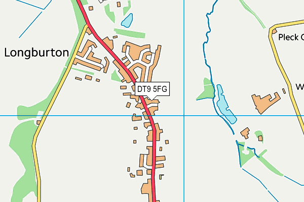 DT9 5FG map - OS VectorMap District (Ordnance Survey)