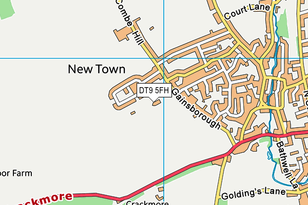 DT9 5FH map - OS VectorMap District (Ordnance Survey)