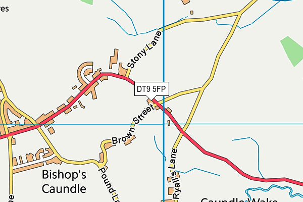 DT9 5FP map - OS VectorMap District (Ordnance Survey)