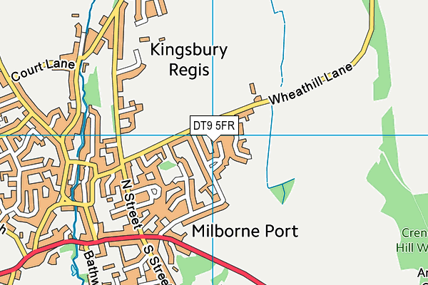 DT9 5FR map - OS VectorMap District (Ordnance Survey)