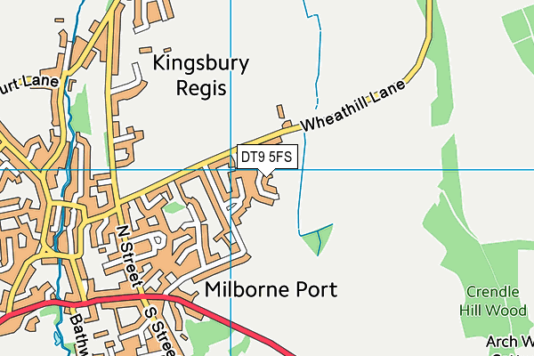 DT9 5FS map - OS VectorMap District (Ordnance Survey)