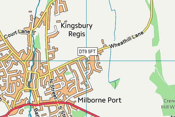 DT9 5FT map - OS VectorMap District (Ordnance Survey)