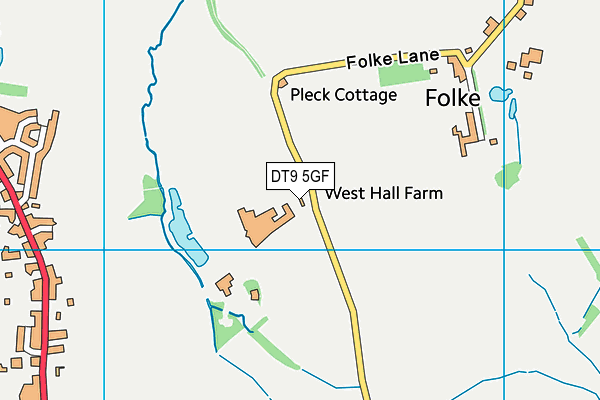 DT9 5GF map - OS VectorMap District (Ordnance Survey)